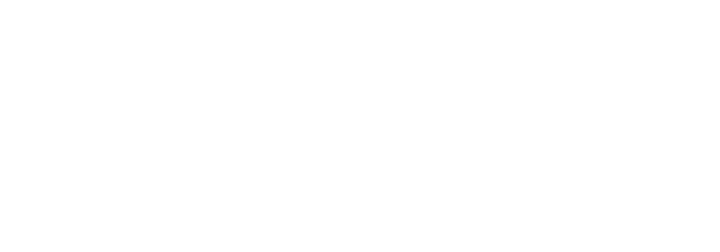 Pro Blind Logo